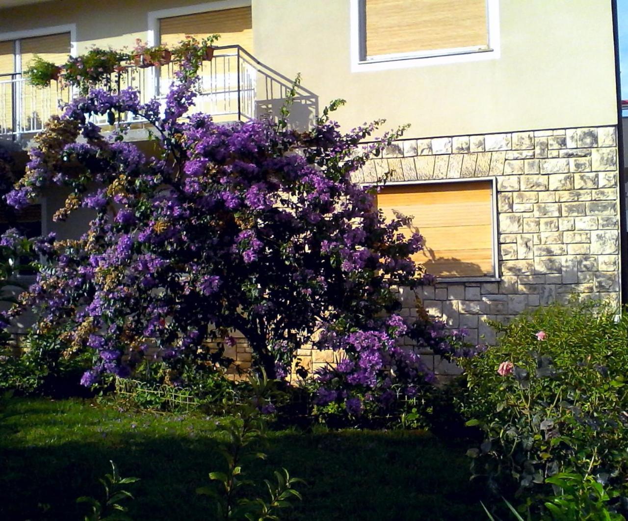 Lovely Apartment In Pomer Εξωτερικό φωτογραφία